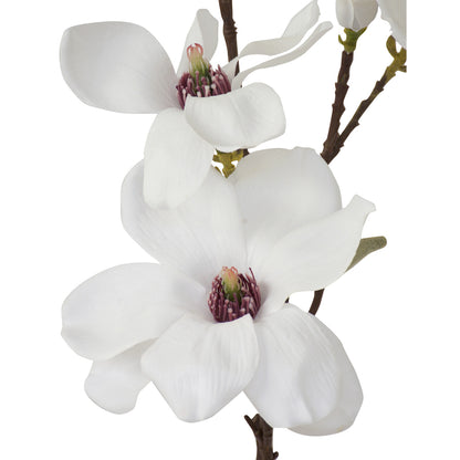 Magnolia - Traditional Southern White