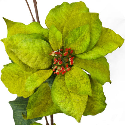 Garland - Poinsettia Flowers - Christmas Green - 183cm