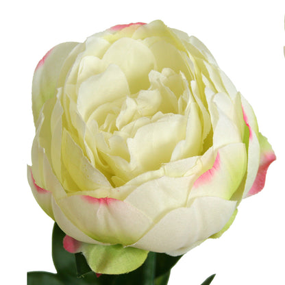 Peony Rose Petticoat - Cream