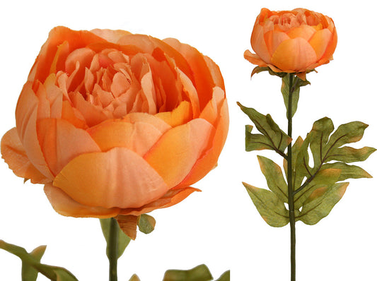 Peony Rose Petticoat - Apricot ✰✰✰ SPECIAL ✰✰✰