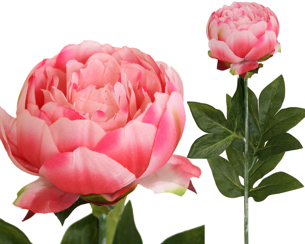 Peony Rose Petticoat - Pink ✰✰✰ SPECIAL ✰✰✰