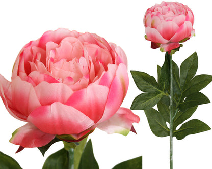 Peony Rose Petticoat - Pink ✰✰✰ SPECIAL ✰✰✰