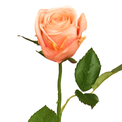 Artificial Rose - Somerset - Half Bloom