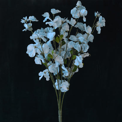 Sweet Pea Flowers - Cadet Grey