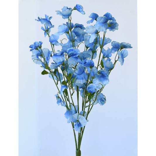 Sweet Pea Flowers - Light Blue