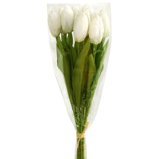 Tulip Presentation Bouquet with cello wrap - White
