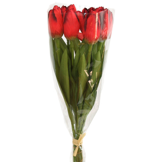 Tulip Presentation Bouquet with cello wrap - Red