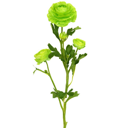 Lime-green artificial Buttercup flower from  Ogilvies NZ