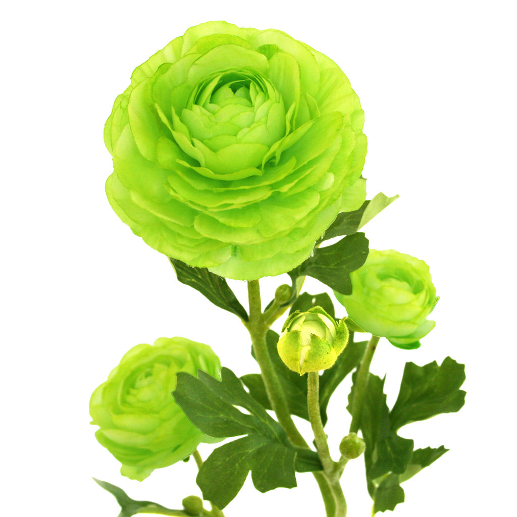 Close-up of lime-green artificial Buttercup flower from Ogilvies NZ