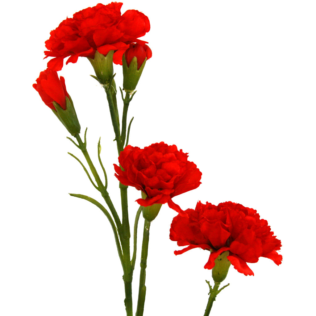 Close-up of red artificial Carnation flower from Ogilvies NZ