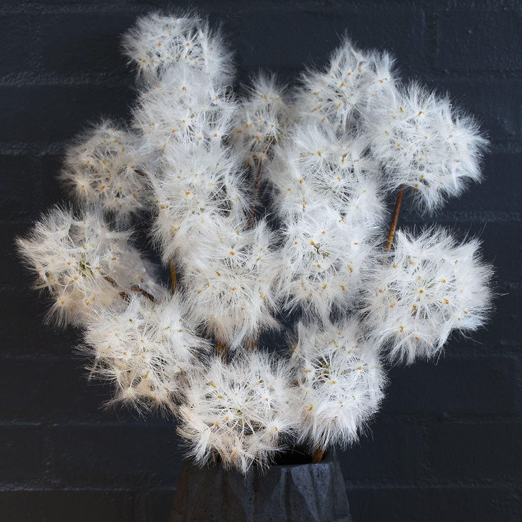 Dandelion Flower - Artificial
