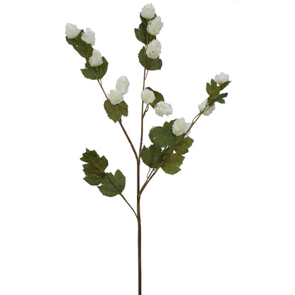Artificial white hops spray from Ogilvies NZ