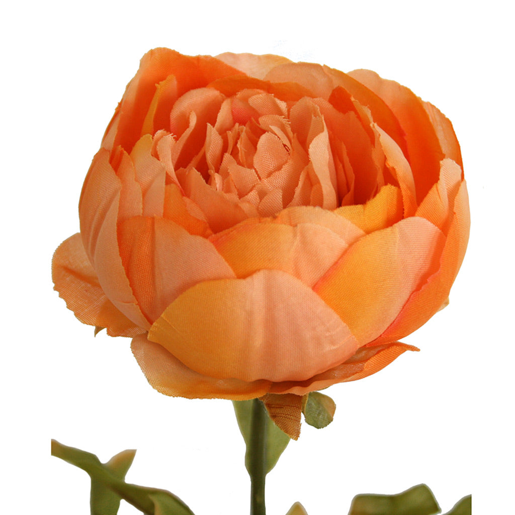 Close up of artificial apricot Peony flower from Ogilvies NZ