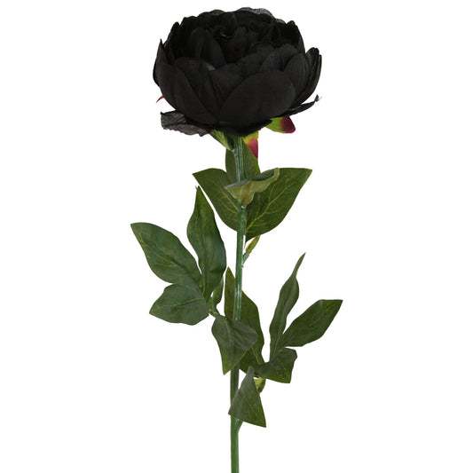Artificial black Peony Rose flower from Ogilvies NZ