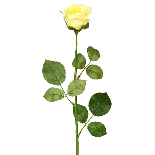 Single stem artificial cream rose from Ogilvies NZ